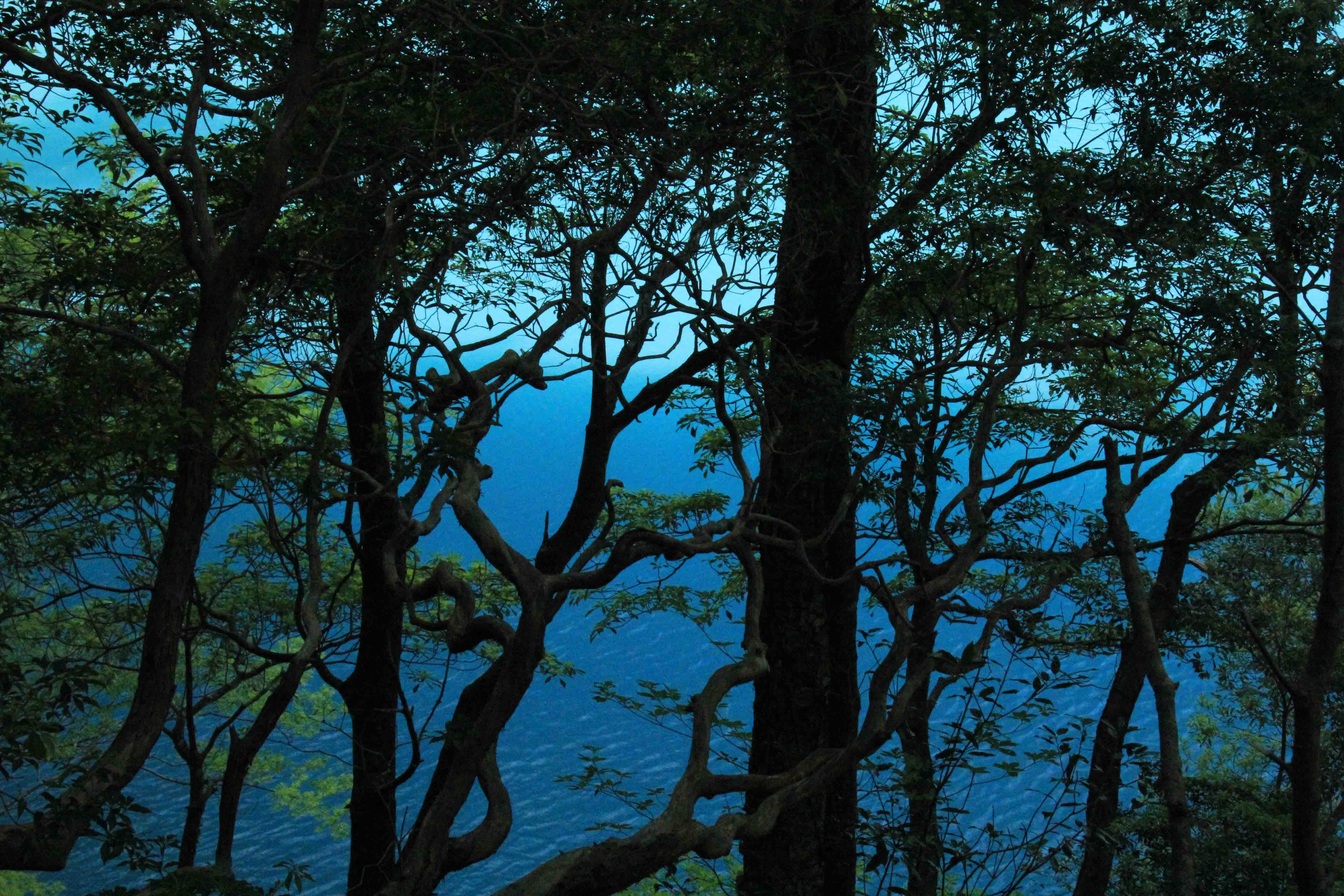 画像9　青い湖　寸又峡