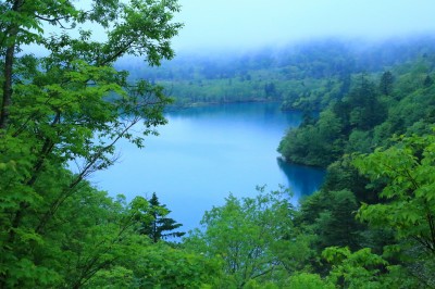 オコタンペ湖の絶景写真