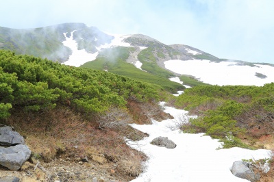 乗鞍岳肩の小屋口の大雪渓とハイマツと乗鞍岳の絶景写真