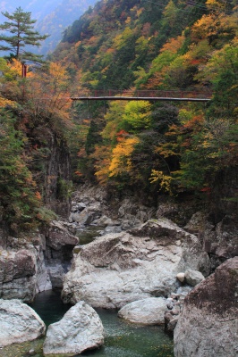 紅葉の御手洗渓谷（みたらい渓谷）の絶景写真。
渓谷の上には吊り橋が架かっている。背景の山は紅葉。