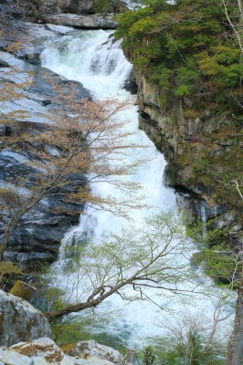 奈良県大泰の滝
