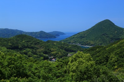 由良港を見下ろす絶景