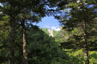 しらび平から望む中央アルプス駒ヶ岳の写真