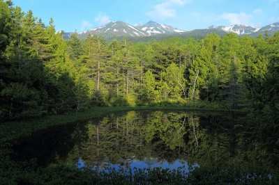 早朝の乗鞍高原牛留池の絶景写真。牛留池の湖面に映る森の緑の木々、森の向こうには雪渓の残る乗鞍岳と青空。